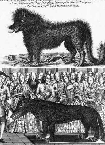 المستذئبون .. لغز الوحش في شيفلدان (3)